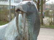 Marlies Schwarzin / pixelio.de